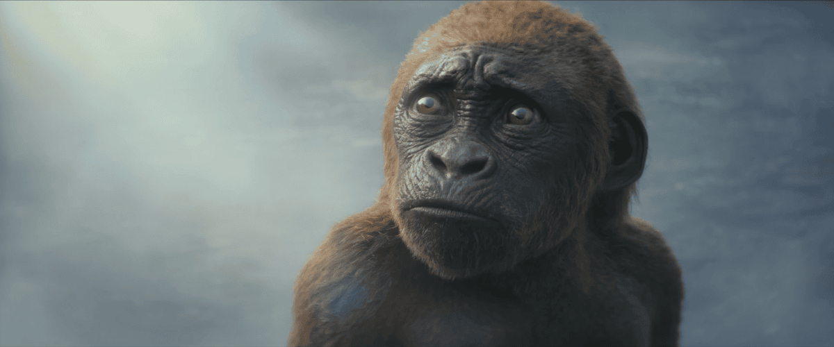 Godzilla x Kong: The New Empire trailer still