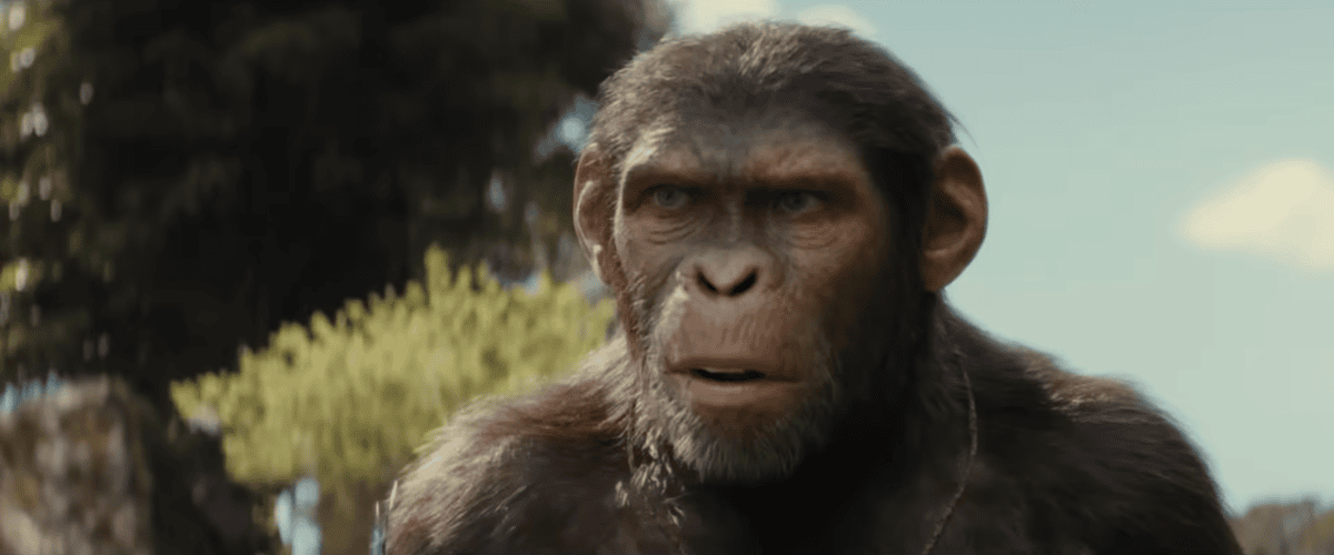 Kingdom of the Planet of the Apes trailer still